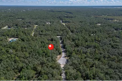 0000 SW 174 Street, Ocala, FL 34473 - Photo 3