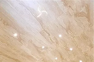 708 Bittern Way, Kissimmee, FL 34759 - Photo 11