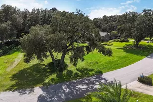 3185 Forest Breeze Way, Saint Cloud, FL 34771 - Photo 3