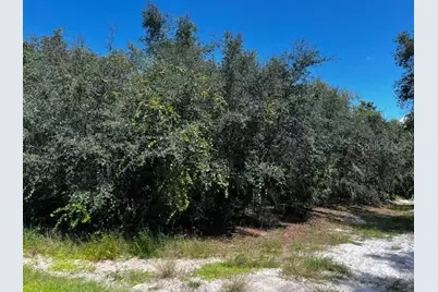 1229 Baltic Drive, Poinciana, FL 34759 - Photo 3