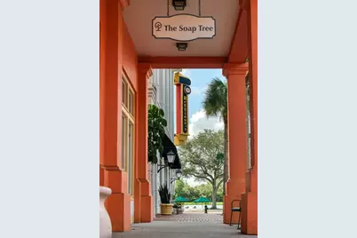 802 Rosa Street, Celebration, FL 34747 - Photo 37