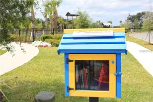 11934 Imaginary Way, Orlando, FL 32832 - Photo 47