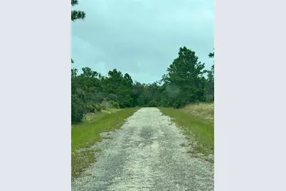 1217 & 1219 Cacao Road, Lake Placid, FL 33852 - Photo 1