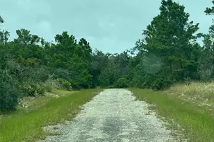 1217 & 1219 Cacao Rd, Lake Placid, FL 33852 - Photo 1