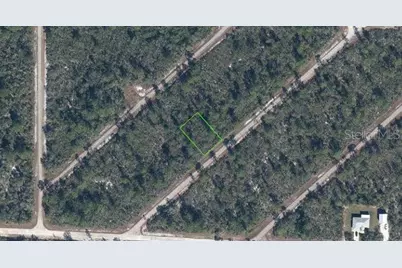 3535 Venetia Street, Lake Placid, FL 33852 - Photo 3