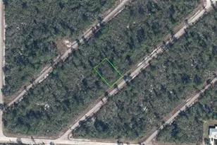 3535 Venetia St, Lake Placid, FL 33852 - Photo 3