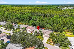 11215 Clayridge Dr, Tampa, FL 33635 - Photo 29