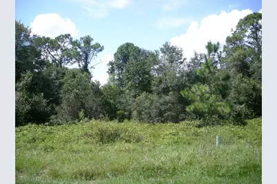 1343 Congo Court, Kissimmee, FL 34759 - Photo 1
