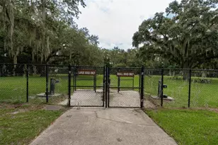 2335 Pine Tree Ct, Kissimmee, FL 34744 - Photo 33