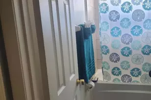 172 Pinewood Cir, Kissimmee, FL 34743 - Photo 3