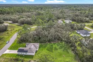 382 S Bowfin Dr, Kissimmee, FL 34759 - Photo 43