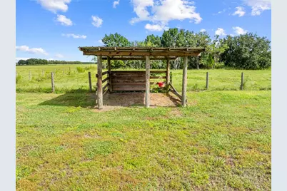 805 Grant Bass Road, Kenansville, FL 34739 - Photo 41