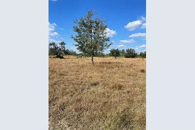 Hammermill Avenue, Lake Wales, FL 33859 - Photo 1
