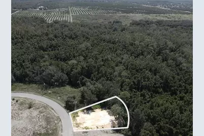 2409 Pecos Lane, Kissimmee, FL 34759 - Photo 15