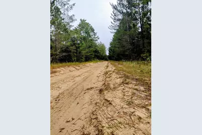 171 7th Way, Interlachen, FL 32148 - Photo 3