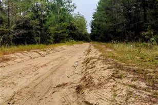 171 7th Way, Interlachen, FL 32148 - Photo 1