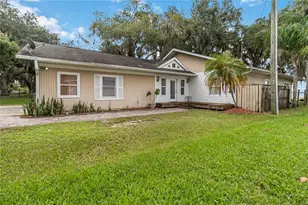 6210 Alligator Lake Shore E, Saint Cloud, FL 34771 - Photo 3