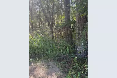Se 112 Place, Ocklawaha, FL 32179 - Photo 9