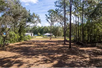 Se 180th Ave Road, Ocklawaha, FL 32179 - Photo 3