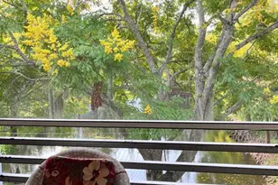 6043 Lake Pointe Dr, Orlando, FL 32822 - Photo 31