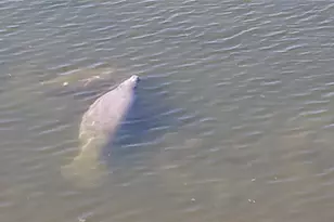 6035 Sea Ranch Dr, Hudson, FL 34667 - Photo 41