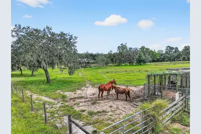 301 H L Smith Road, Haines City, FL 33844 - Photo 51