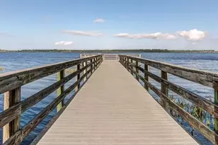 3436 Sagebrush St, Harmony, FL 34773 - Photo 29