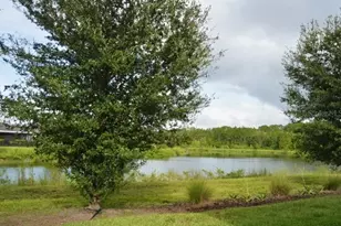 3436 Sagebrush St, Harmony, FL 34773 - Photo 29