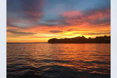 30215 Redtree Drive, Leesburg, FL 34748 - Photo 59