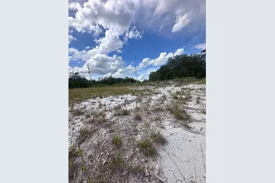 2600 London Rd, Avon Park, FL 33825 - Photo 7