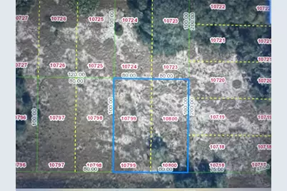 2600 London Rd, Avon Park, FL 33825 - Photo 1