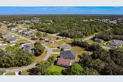1419 Punta Gorda Drive, Kissimmee, FL 34759 - Photo 3
