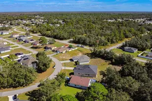 1419 Punta Gorda Dr, Kissimmee, FL 34759 - Photo 3