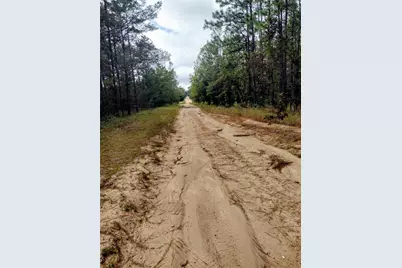 165 7th Way, Interlachen, FL 32148 - Photo 3