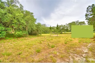 Petes Lane, Davenport, FL 33837 - Photo 3