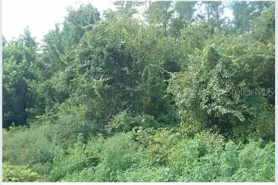 Raulerson Road, Frostproof, FL 33843 - Photo 1