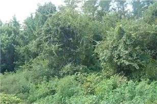 Raulerson Rd, Frostproof, FL 33843 - Photo 1