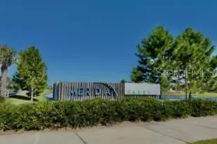 11959 Globe St, Orlando, FL 32832 - Photo 43