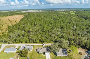 2909 Annalee Rd, Saint Cloud, FL 34771 - Photo 39