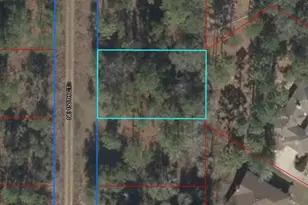 Lot 19 NE 150th Ct, Williston, FL 32696 - Photo 1