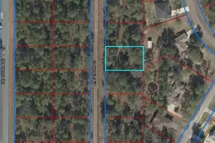 Lot 20 NE 150th Ct, Williston, FL 32696 - Photo 1