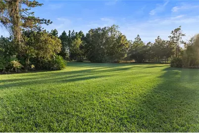 20107 Starry Street, Orlando, FL 32833 - Photo 31