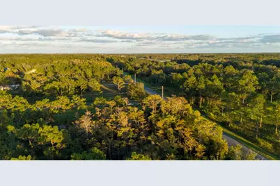 20107 Starry Street, Orlando, FL 32833 - Photo 53