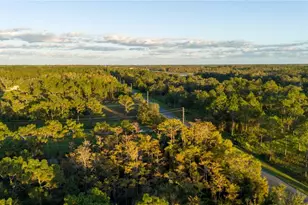 20107 Starry St, Orlando, FL 32833 - Photo 53