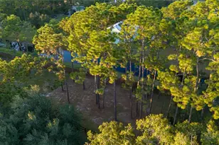 20107 Starry St, Orlando, FL 32833 - Photo 57