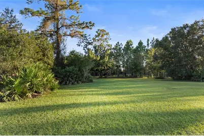 20107 Starry Street, Orlando, FL 32833 - Photo 33