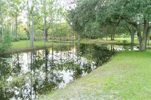 20107 Starry St, Orlando, FL 32833 - Photo 51