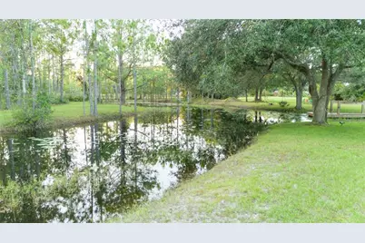 20107 Starry Street, Orlando, FL 32833 - Photo 45
