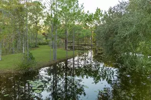 20107 Starry St, Orlando, FL 32833 - Photo 49