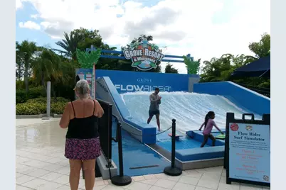 14501 Grove Resort Avenue #1612, Winter Garden, FL 34787 - Photo 59